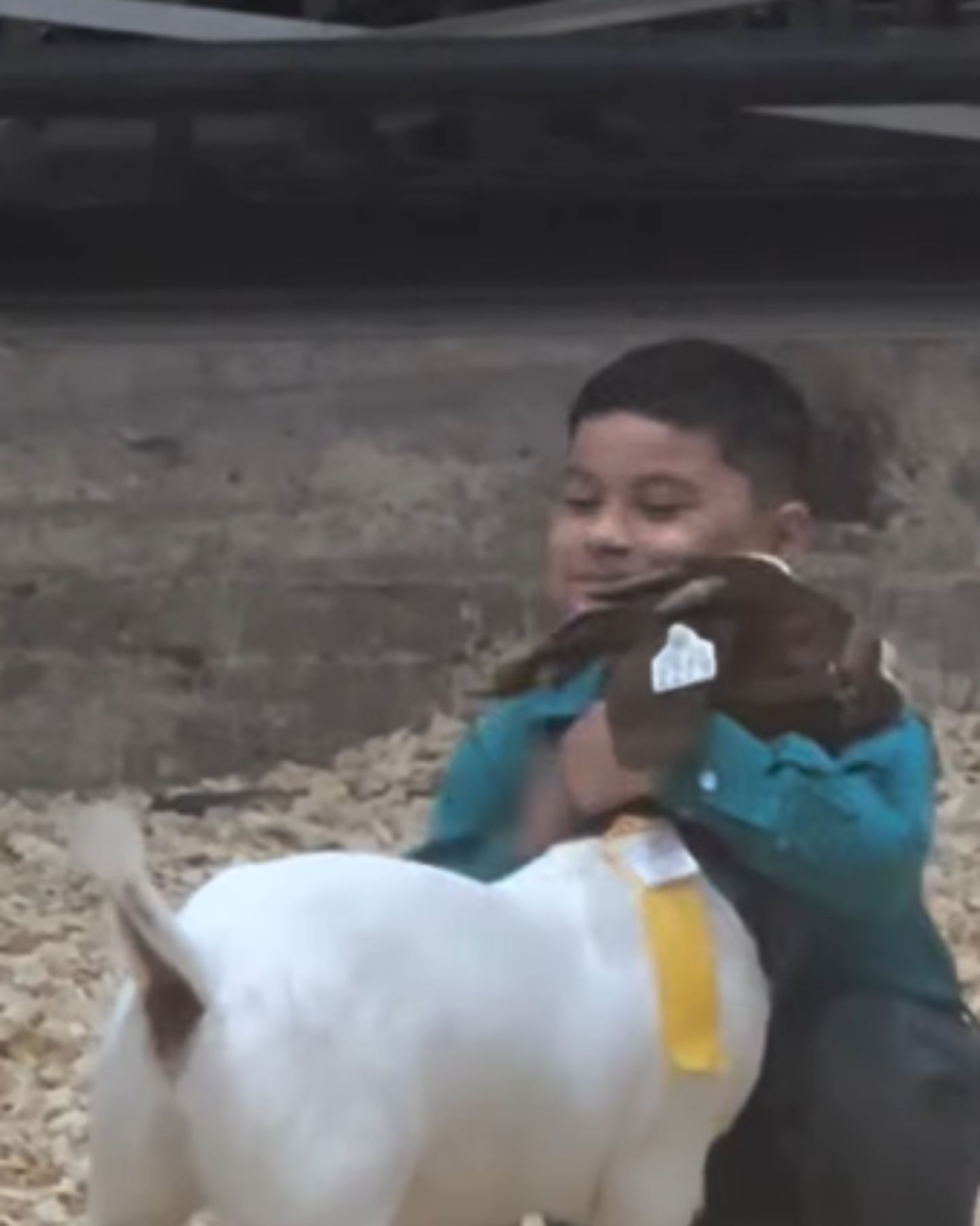 boy hugs a goat