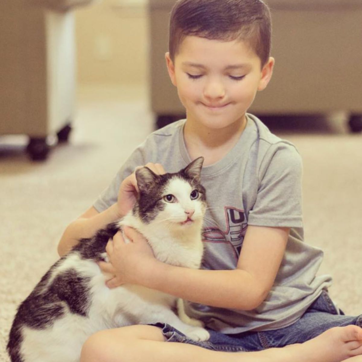 boy hugs the cat