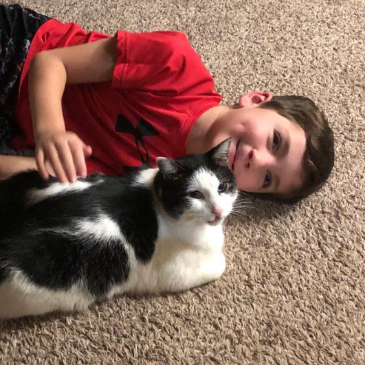 boy is playing with the cat