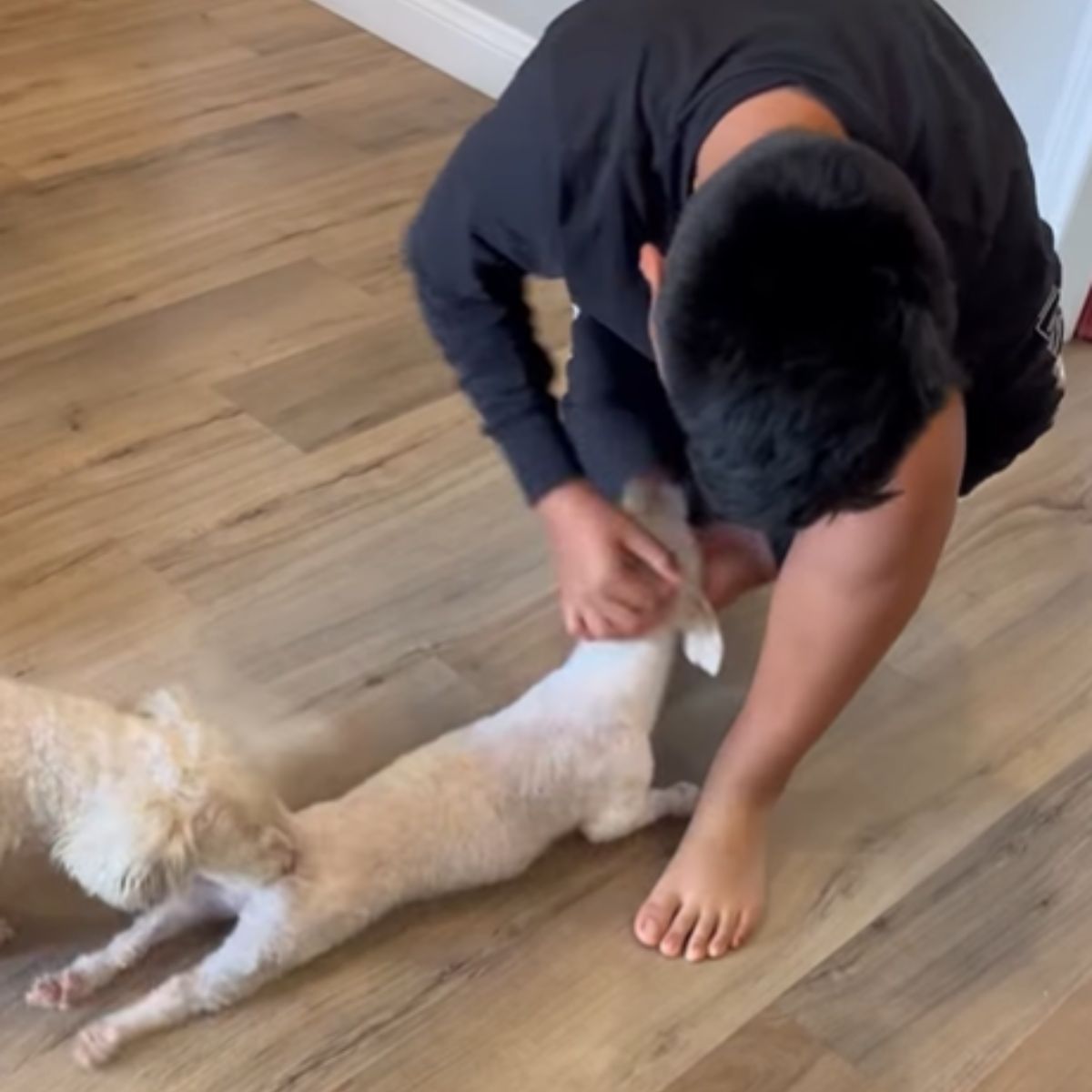 boy playing with found dog