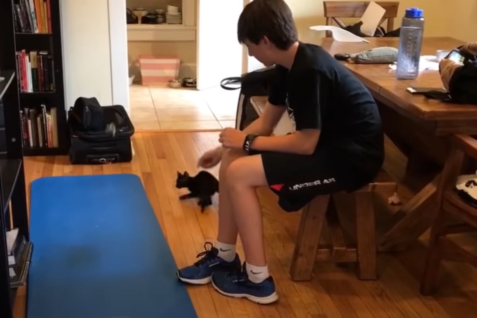 boy plays with a black cat