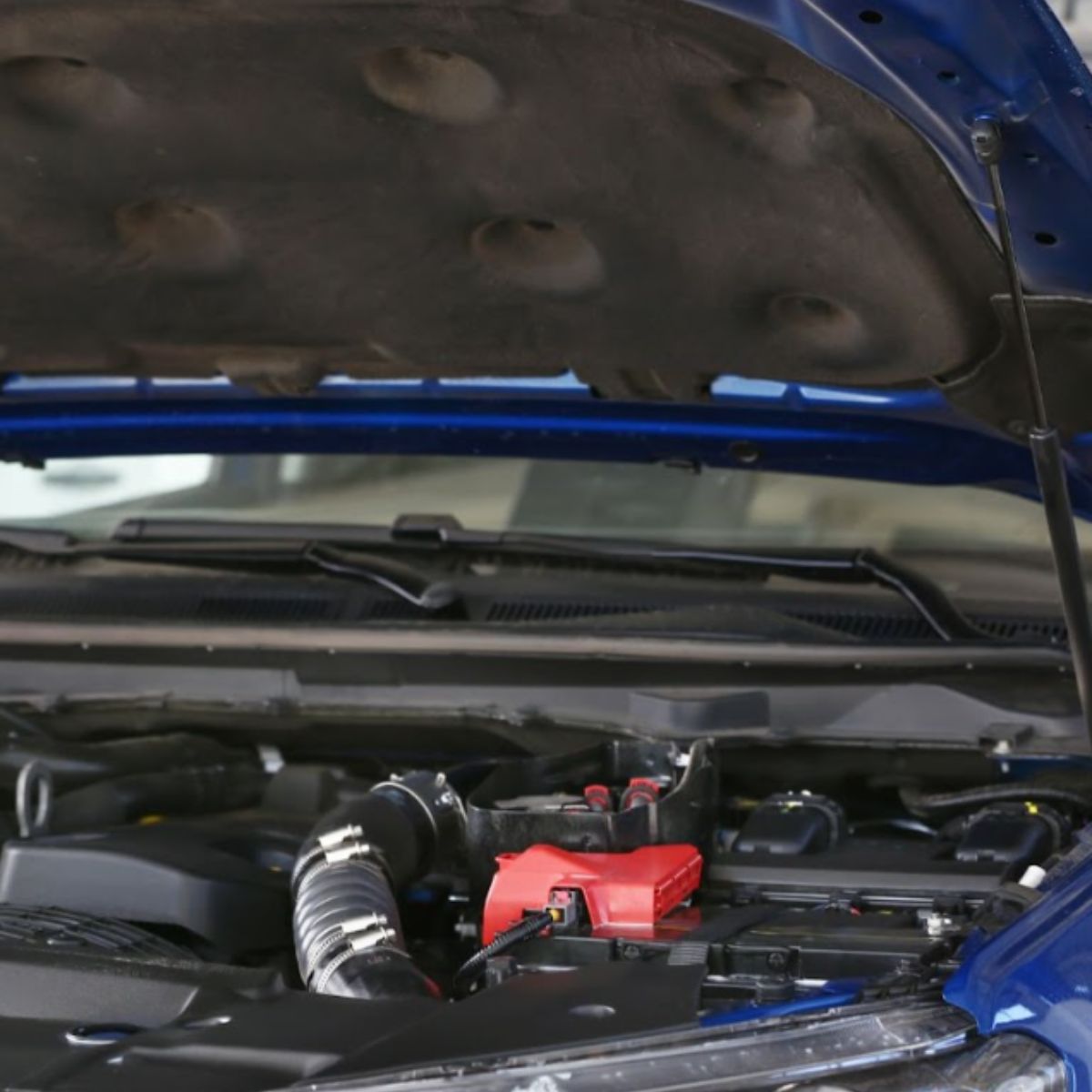 car hood