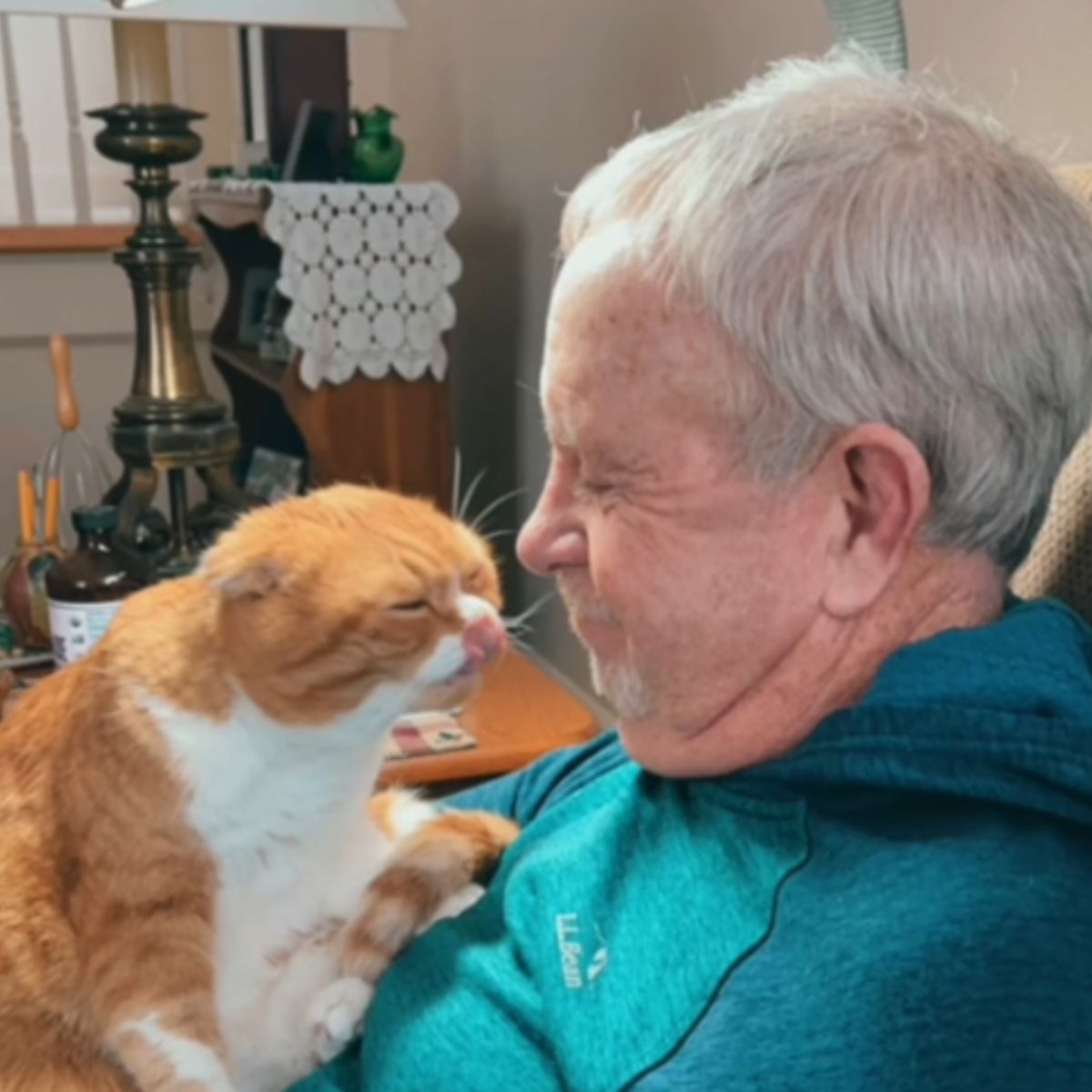 cat and grandfather