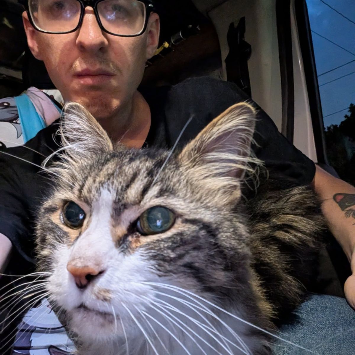 cat and truck driver