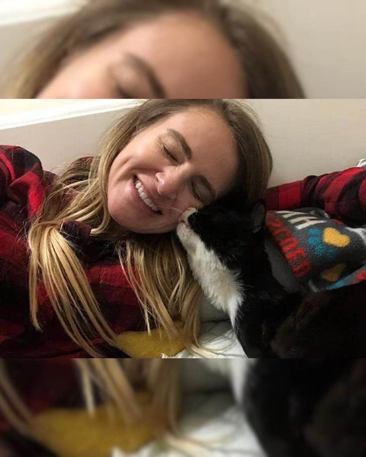 cat kisses the woman