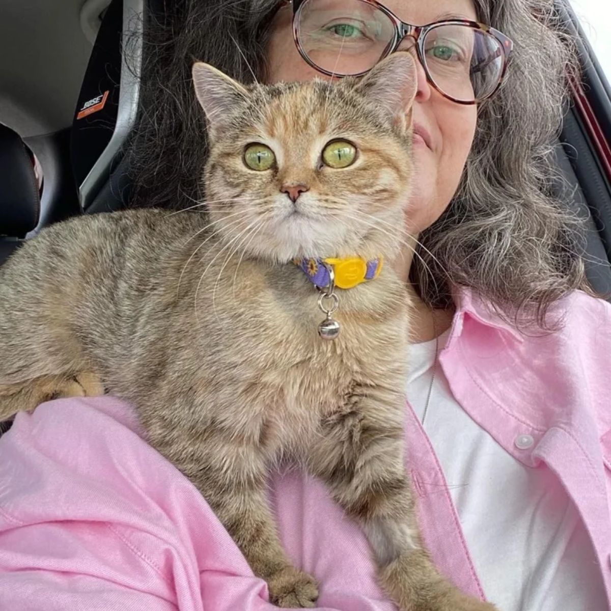 cat on woman's shoulder