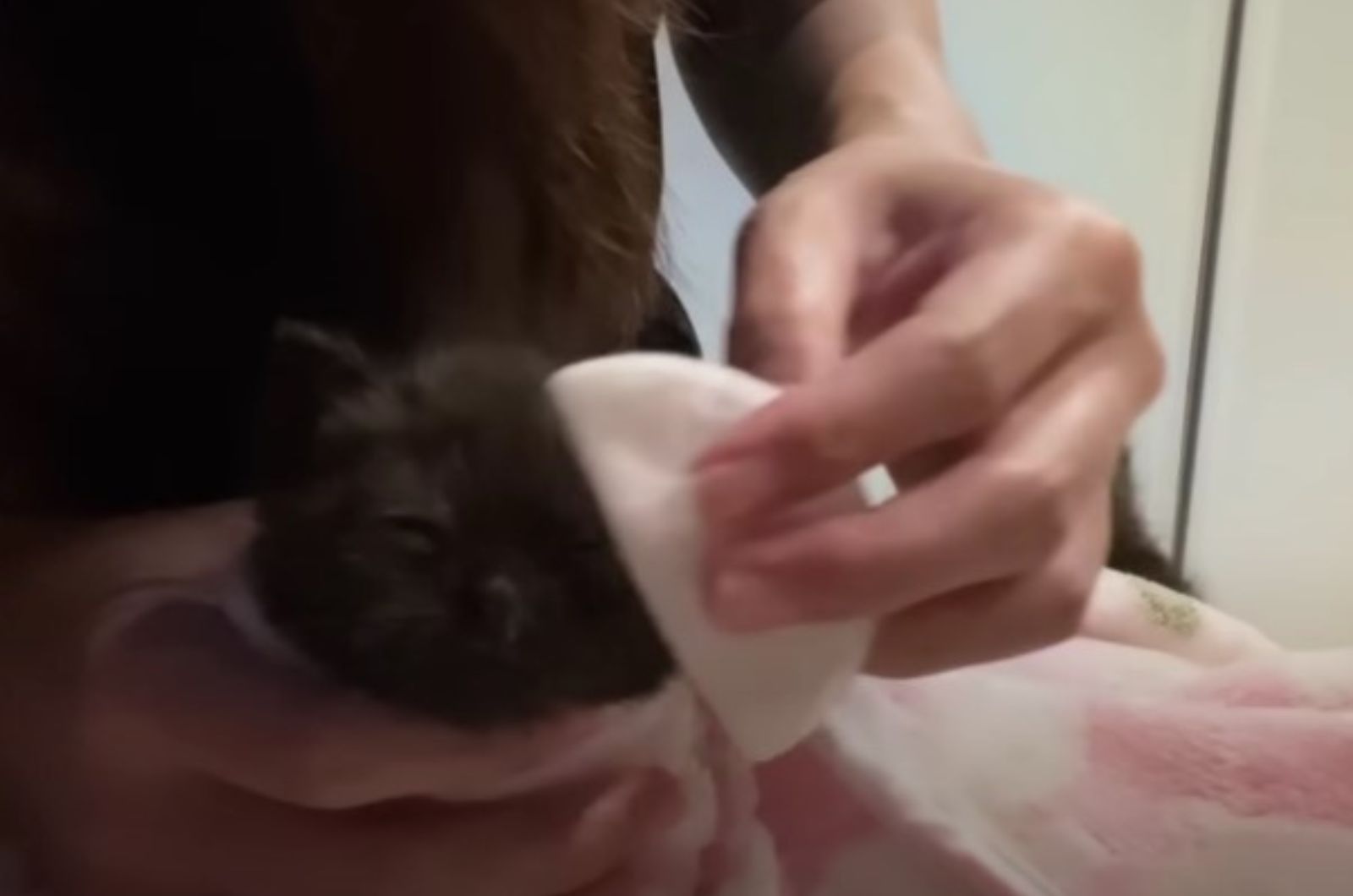 cleaning the black kitty
