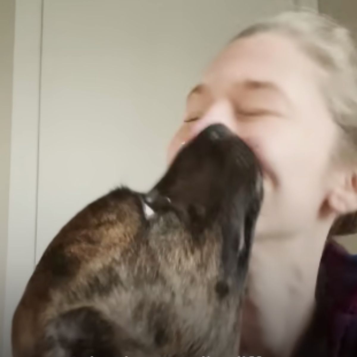 dog does not stop licking the woman