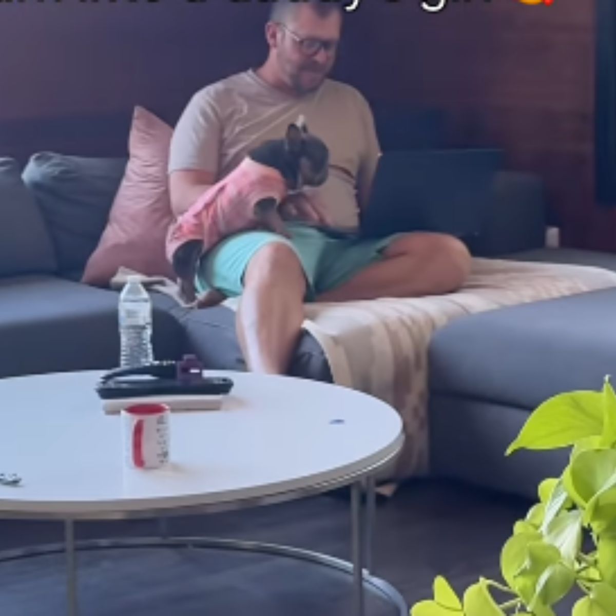 dog in clothes with man