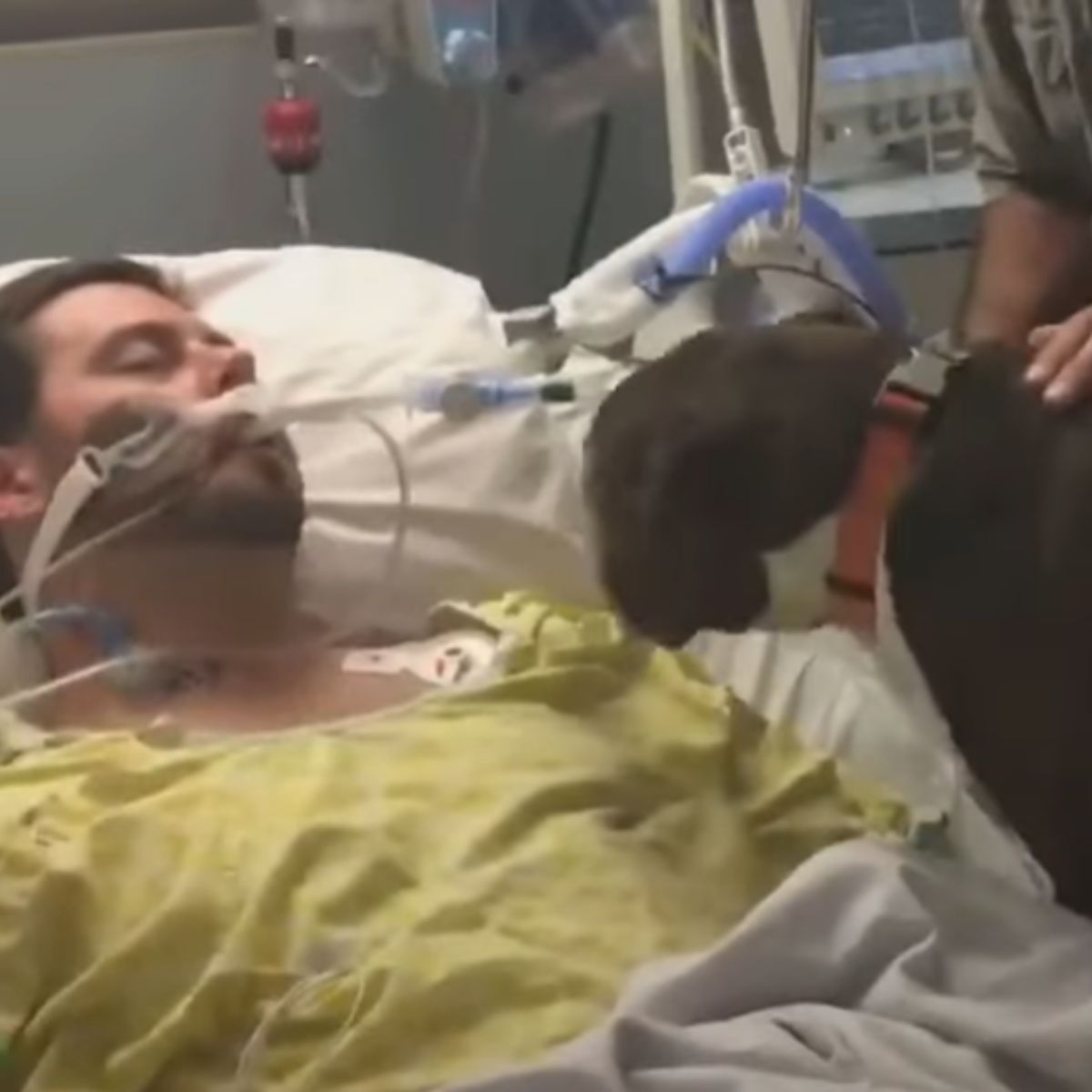 dog kisses his owner in the hospital