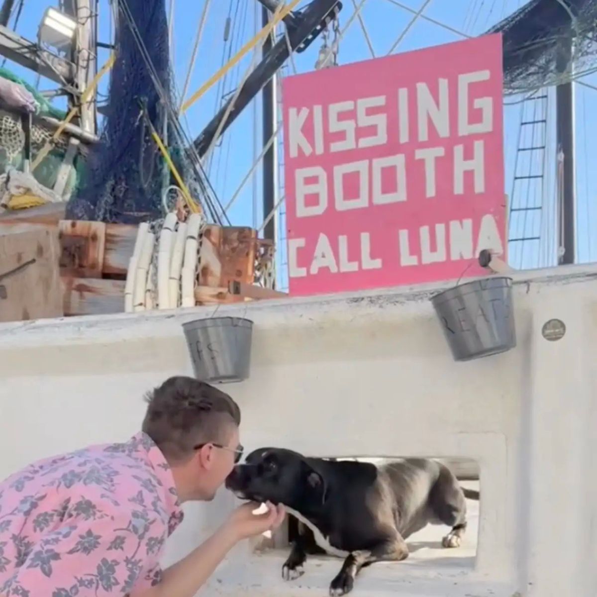 dog kisses the man