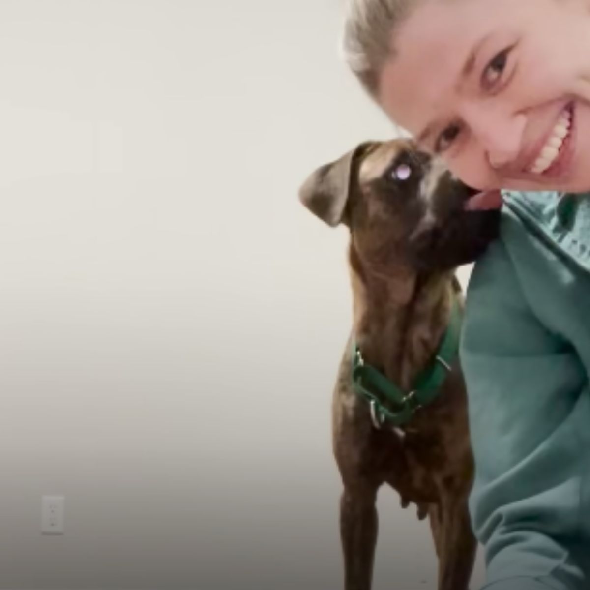 dog licks the woman