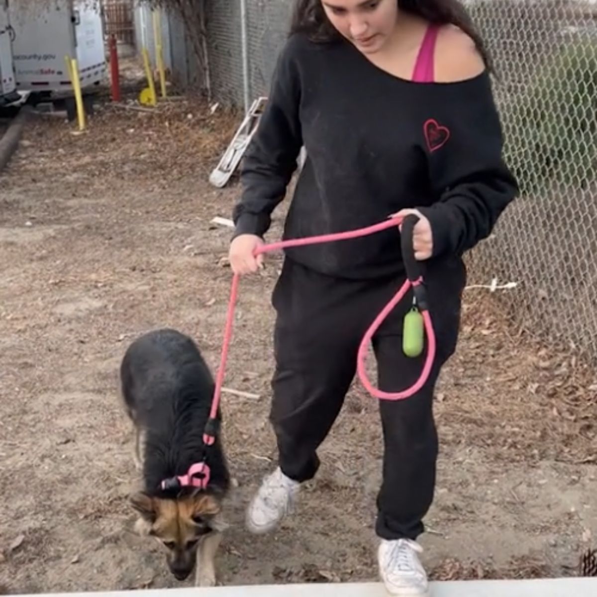 draining the dog on a leash