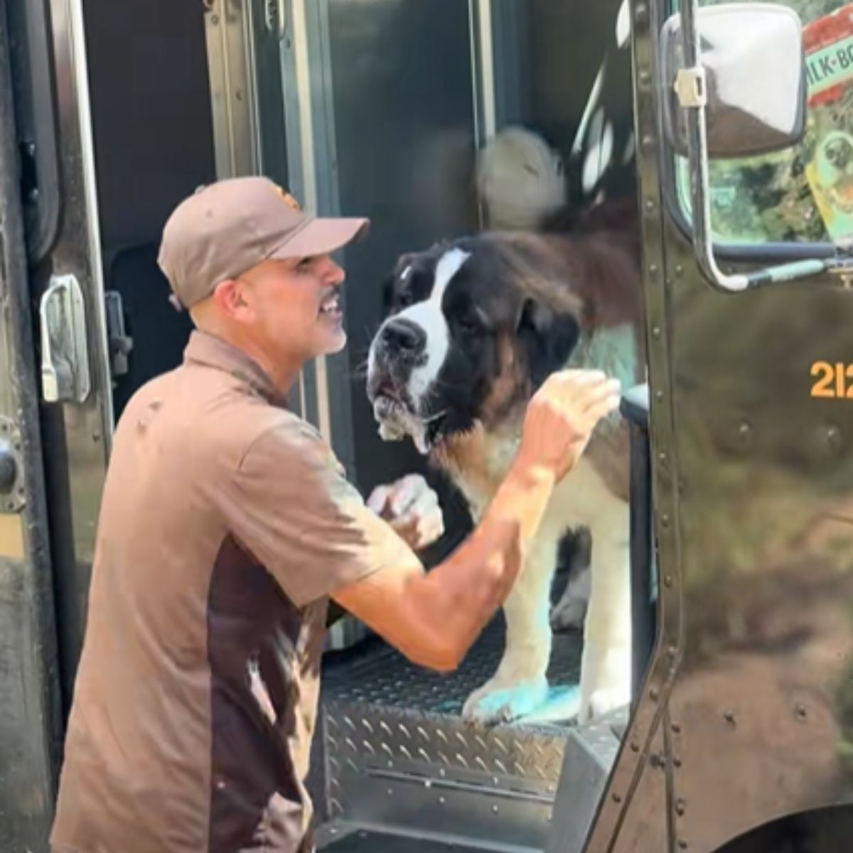 driver happy with dog
