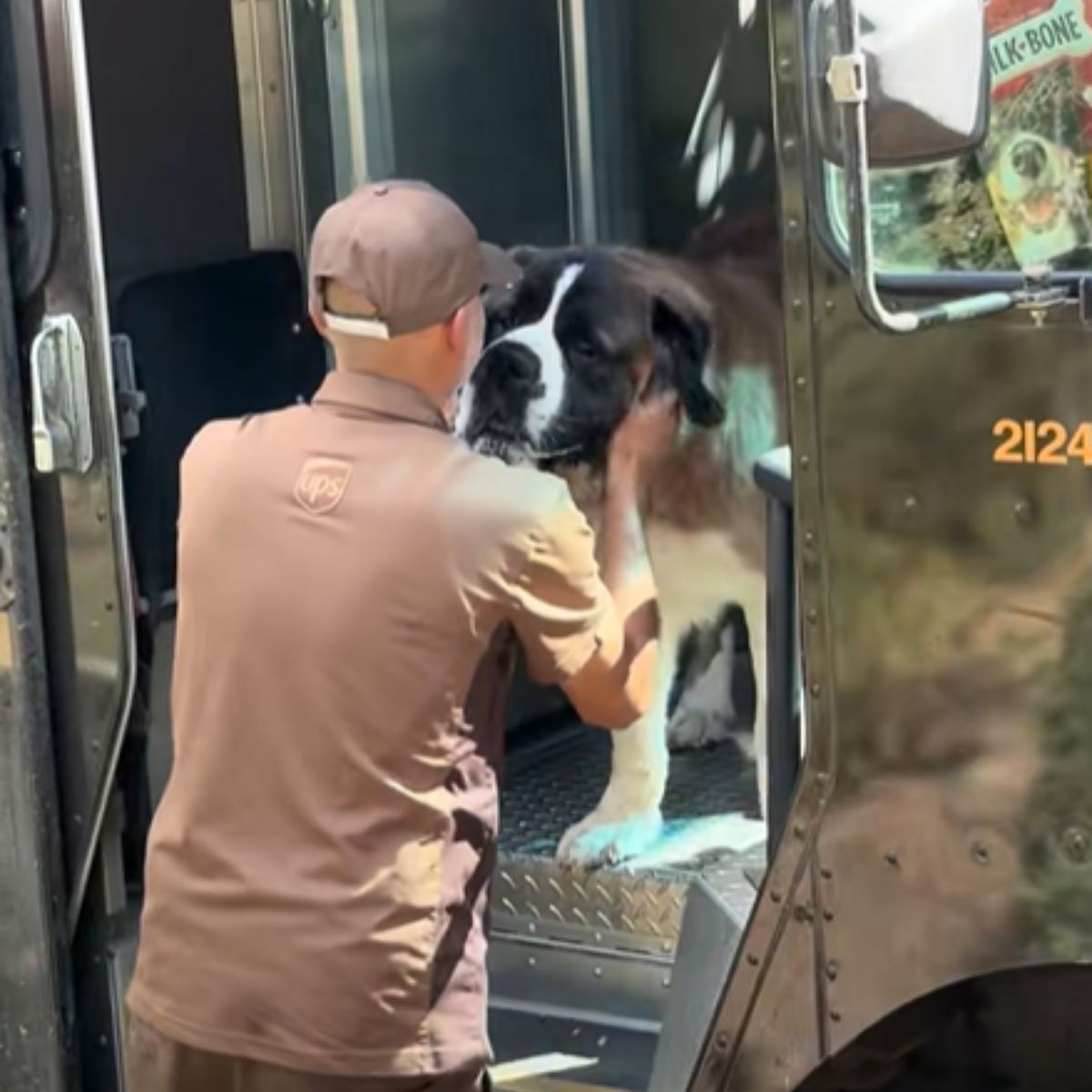 driver petting dog