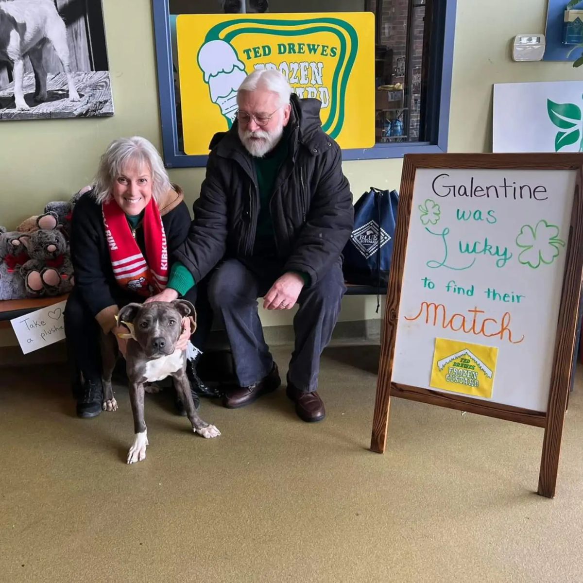 elderly couple adopted a dog