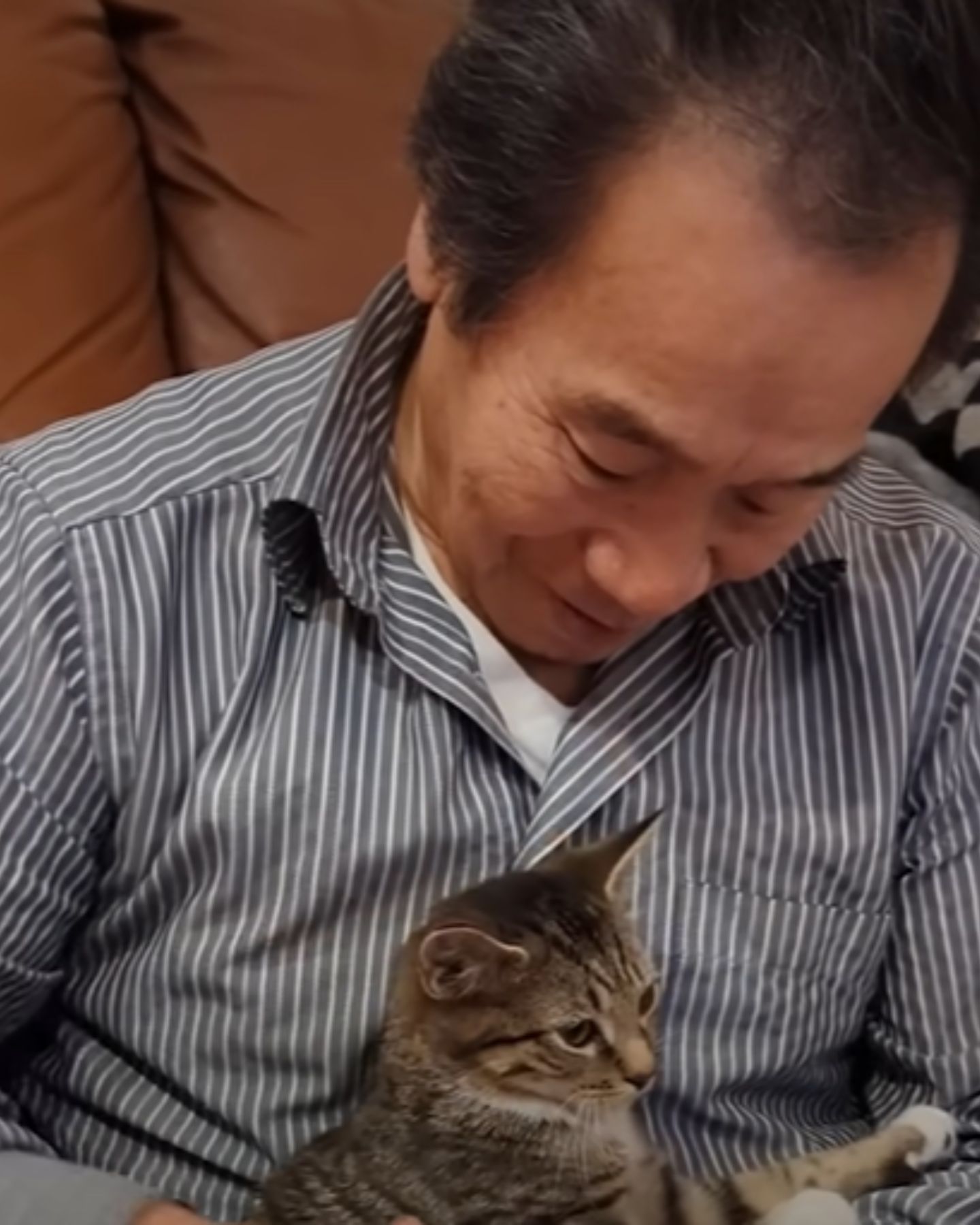 elderly man and a cat