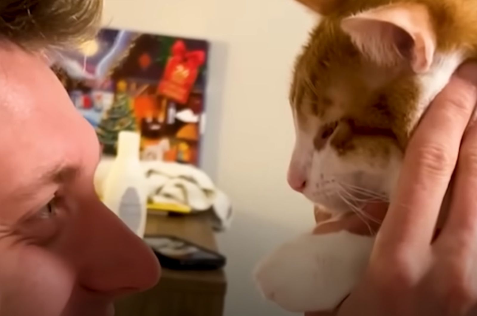 face of a man and a cat