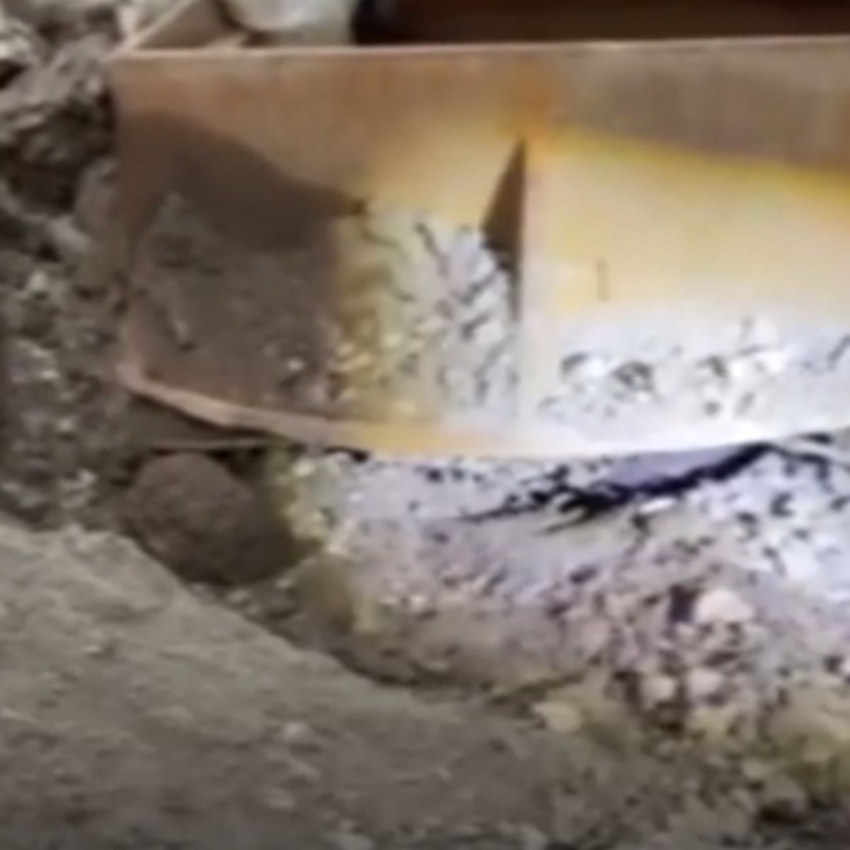 finding cat in ruins
