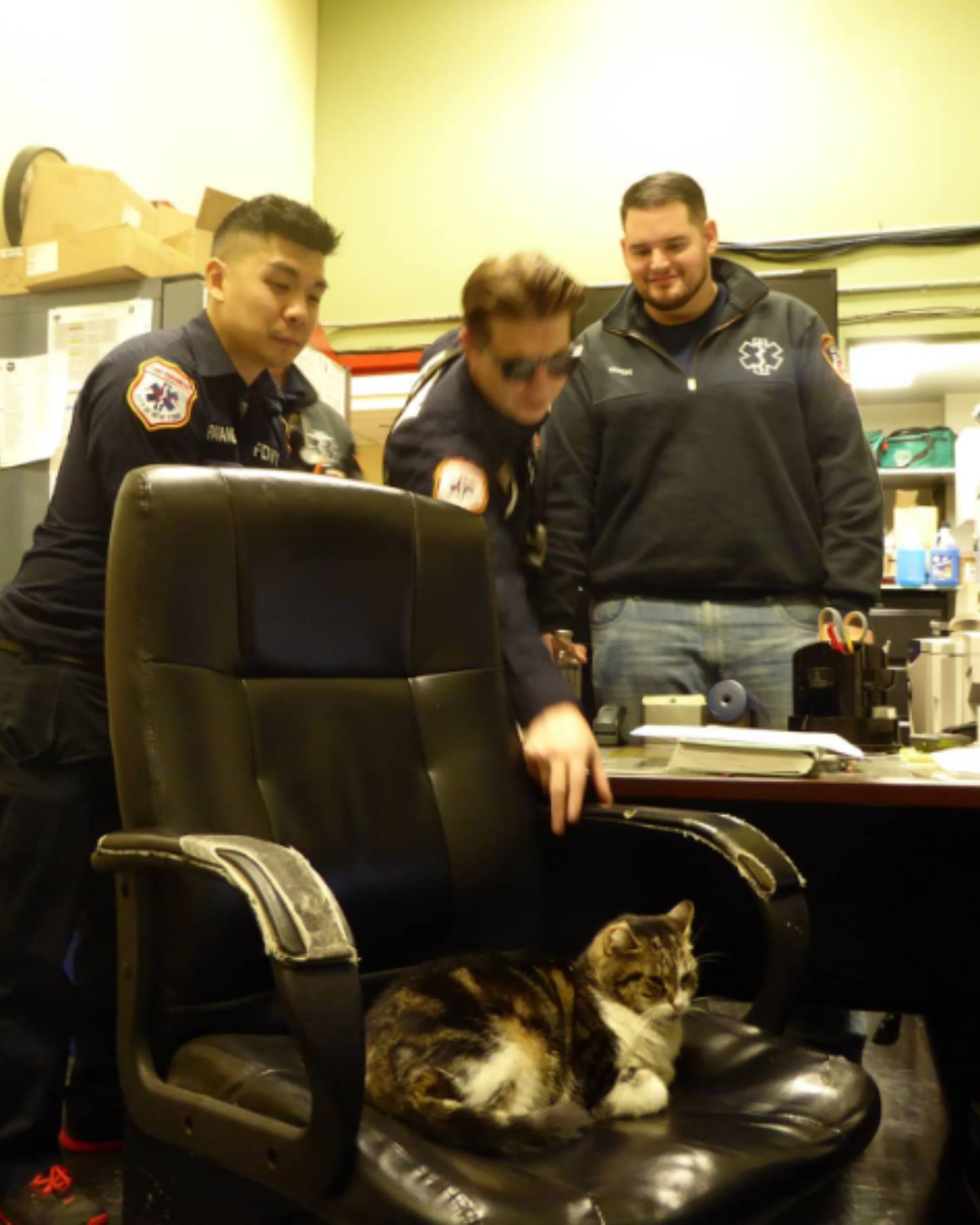 firefighters treating cat on chair
