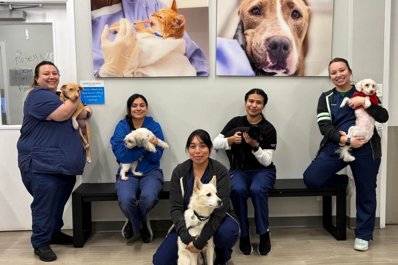 five women with five dogs