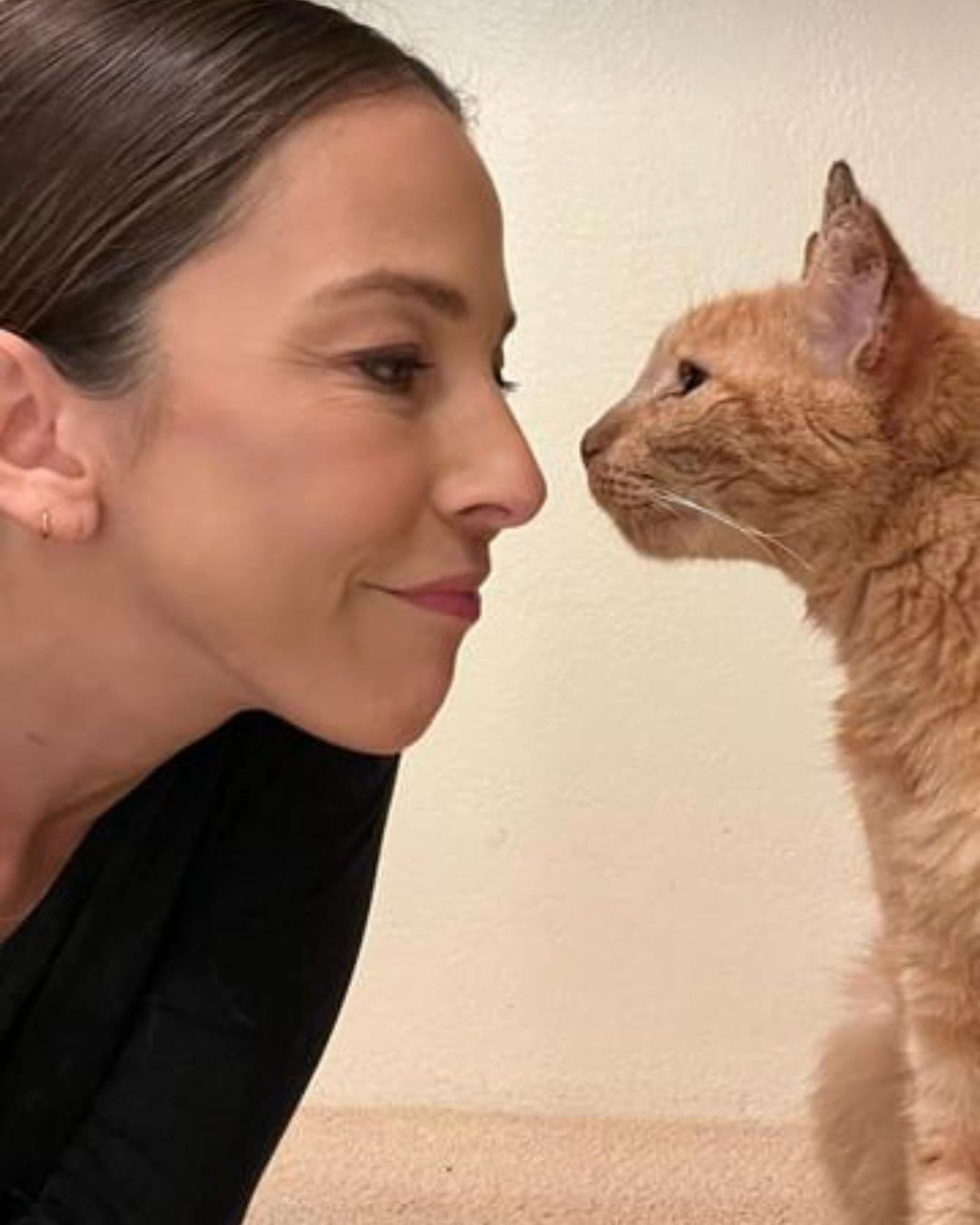 ginger cat kisses a woman
