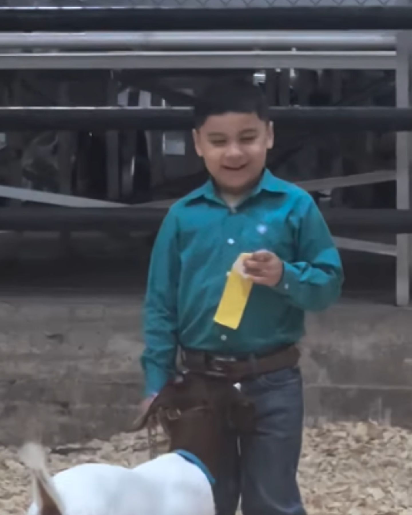 goat and boy