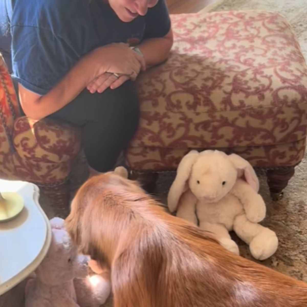 golden retriever and his toys