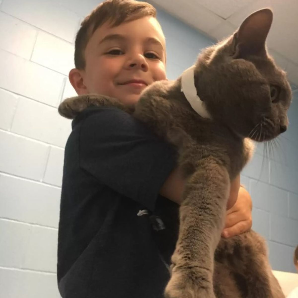 gray cat and boy