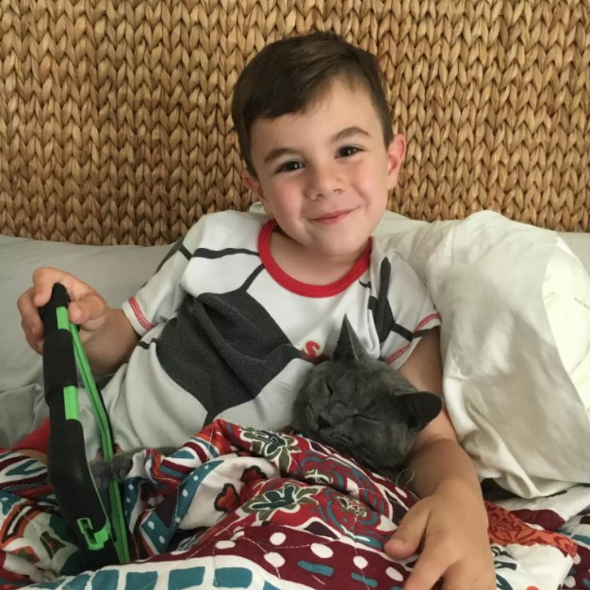 gray cat sleeps with a boy