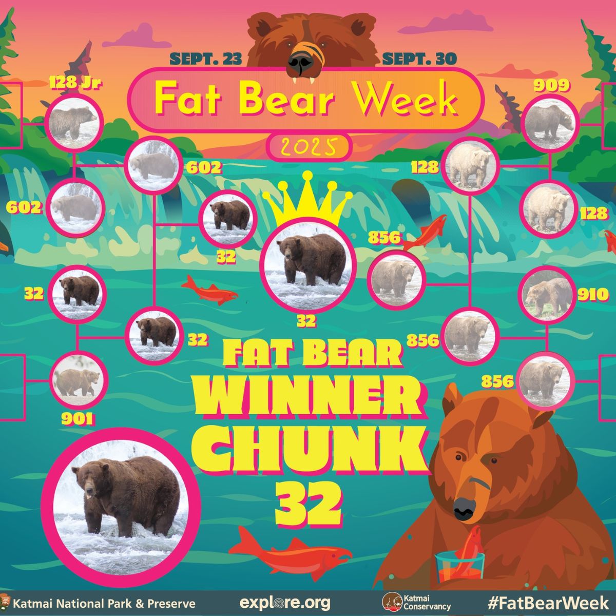 hanging bear poster