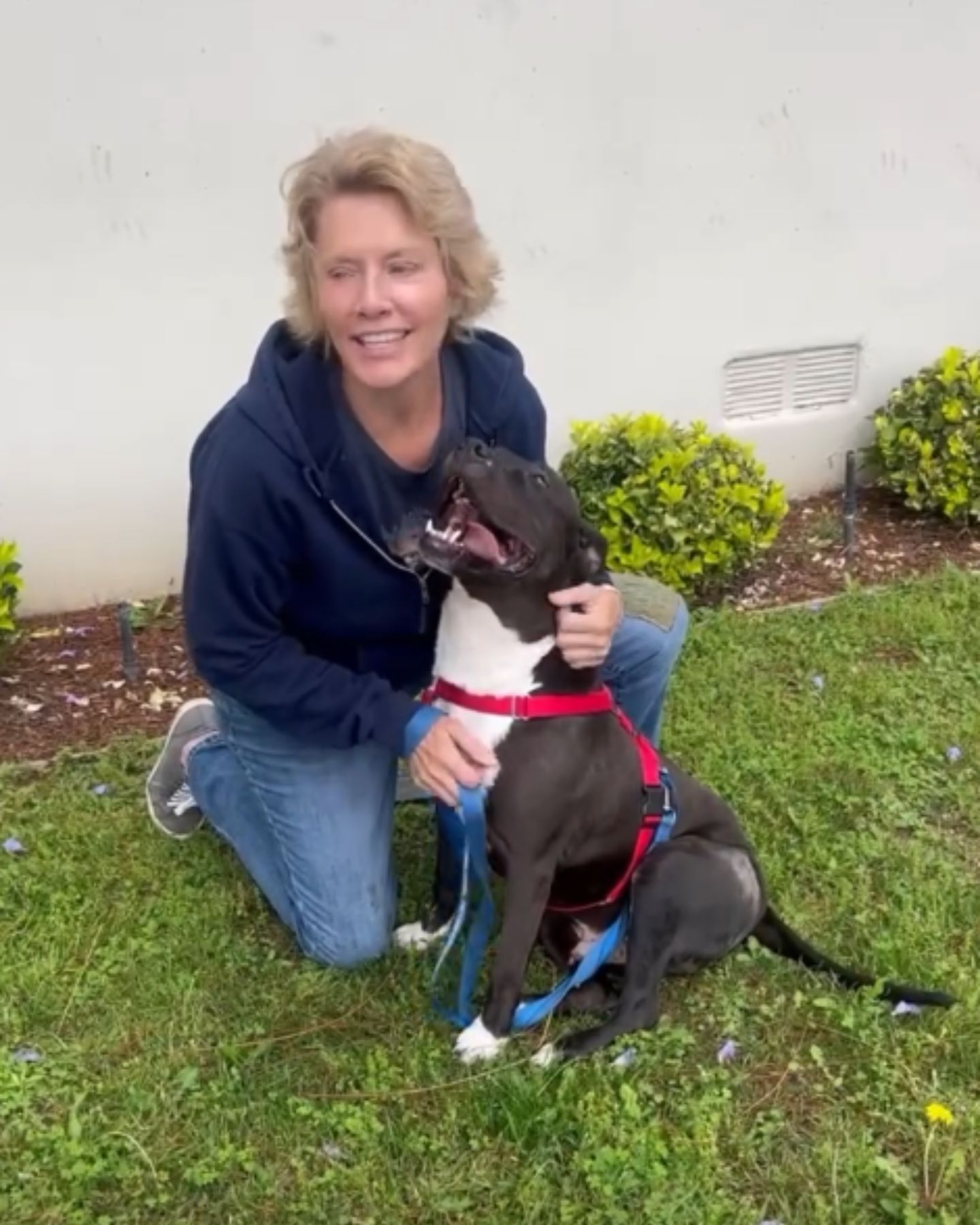happy black dog and woman in the yard