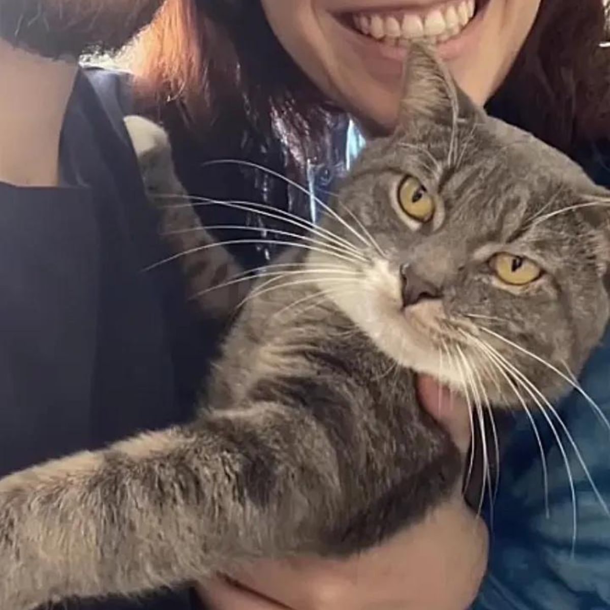 happy woman and happy cat