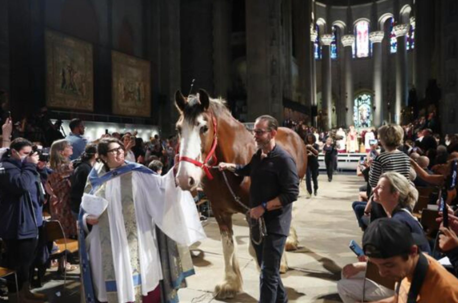 horse in the church