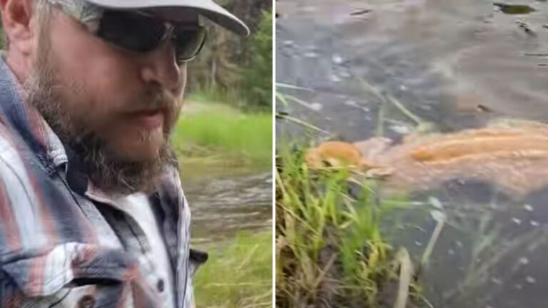Idaho Hunter’s Unexpected Rescue In Freezing Current Leaves Everyone Speechless