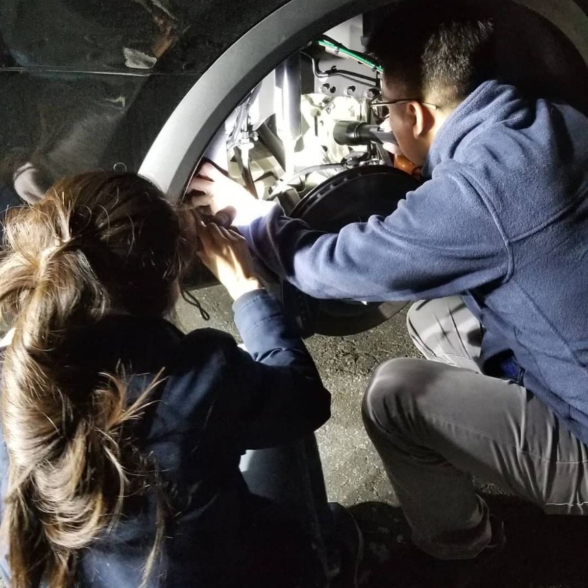 kitten rescue