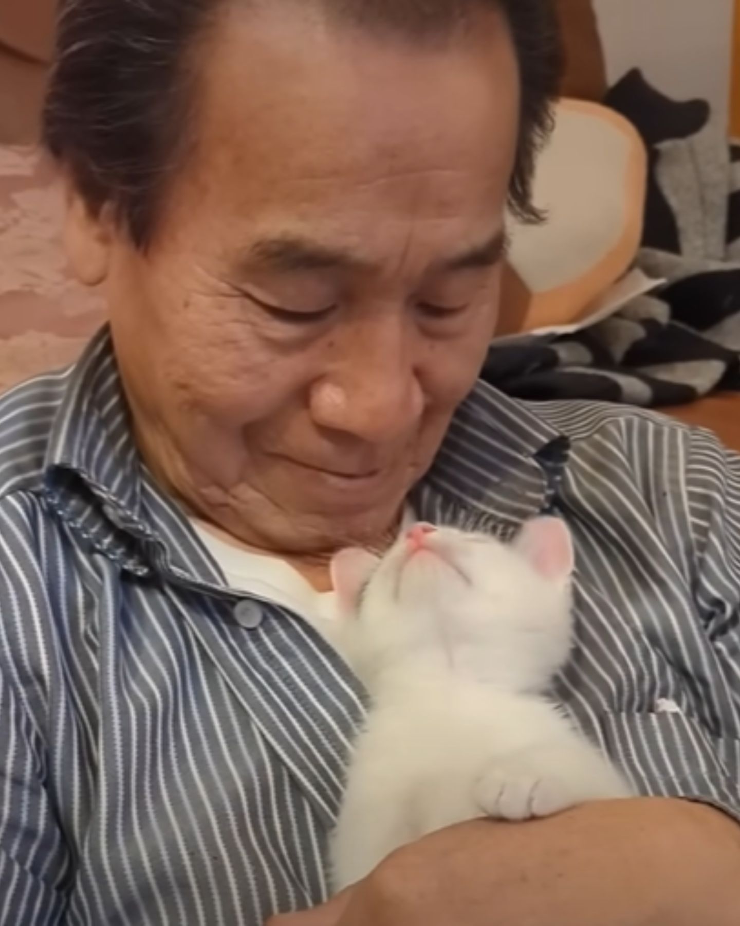 man and a white kitten