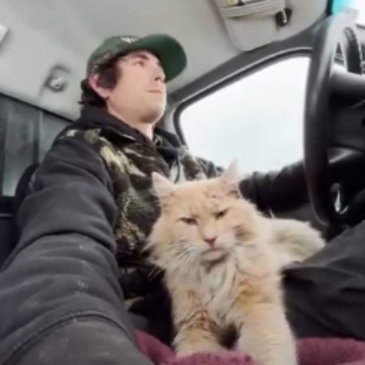 man and cat on lap while riding in car