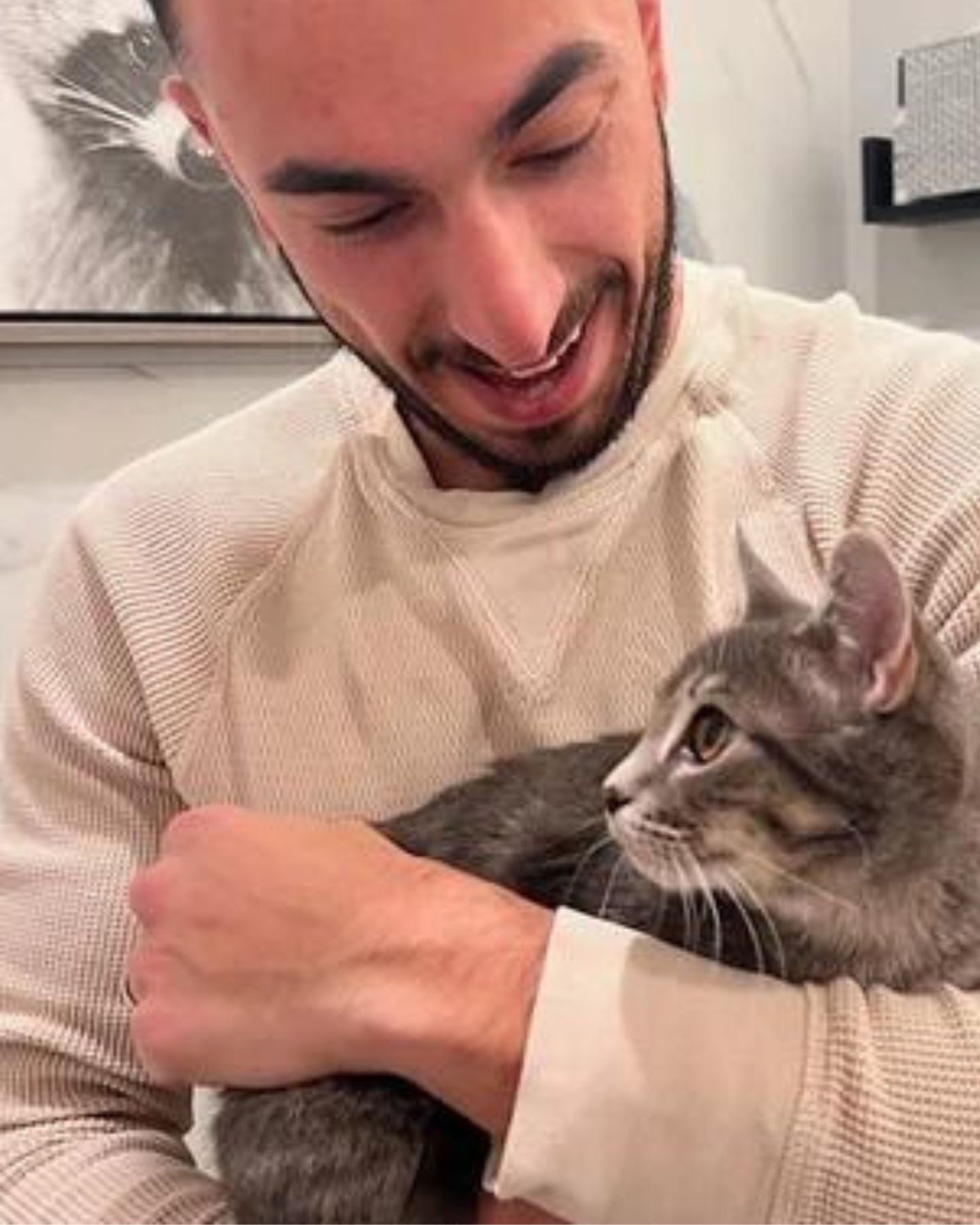man holding gray cat