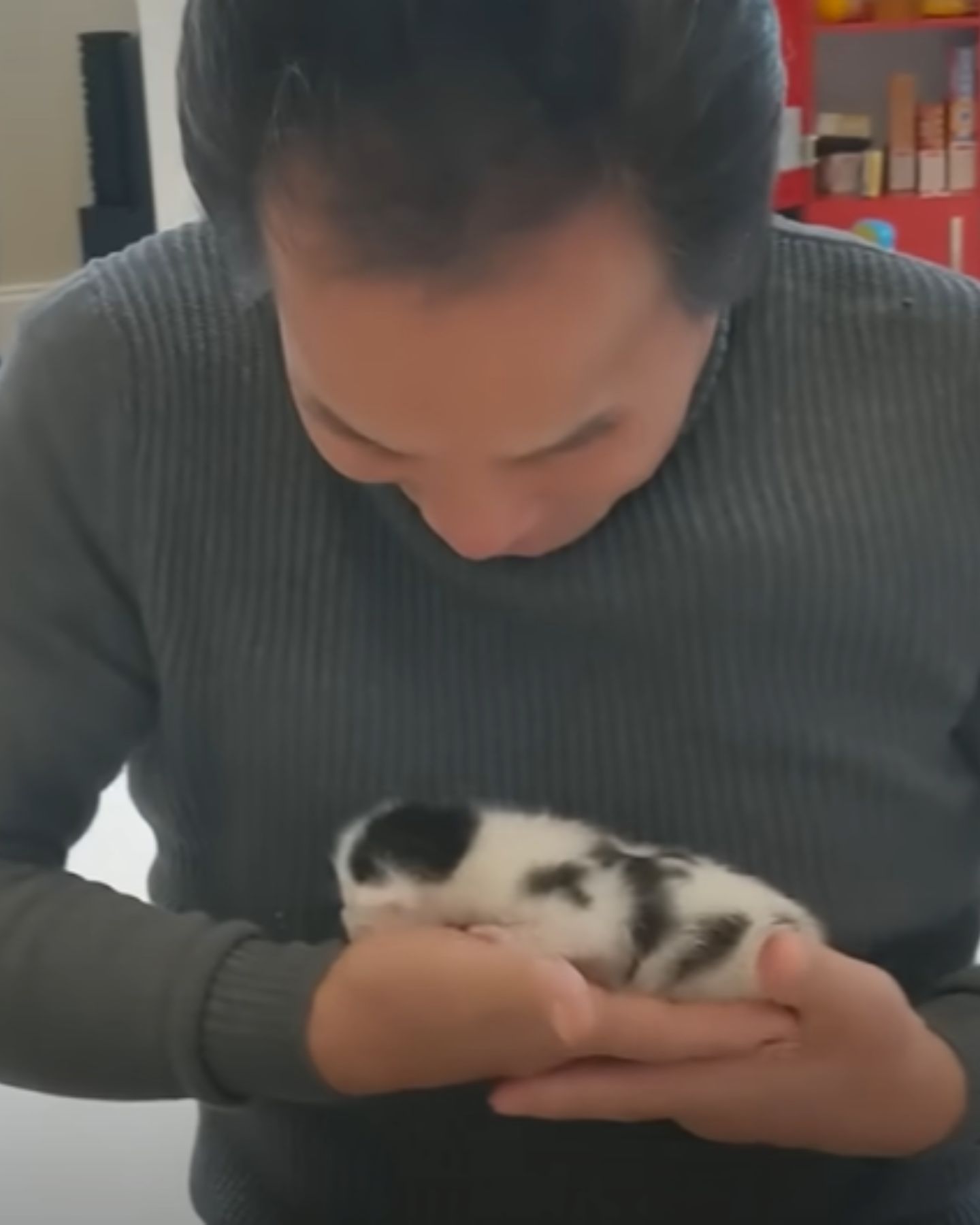 man petting a kitten