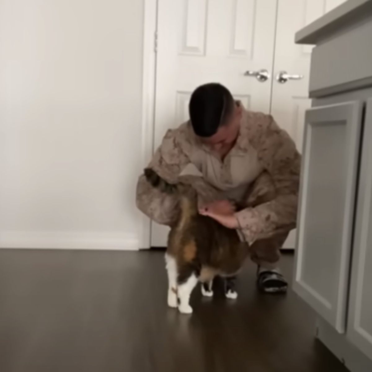 man petting cat