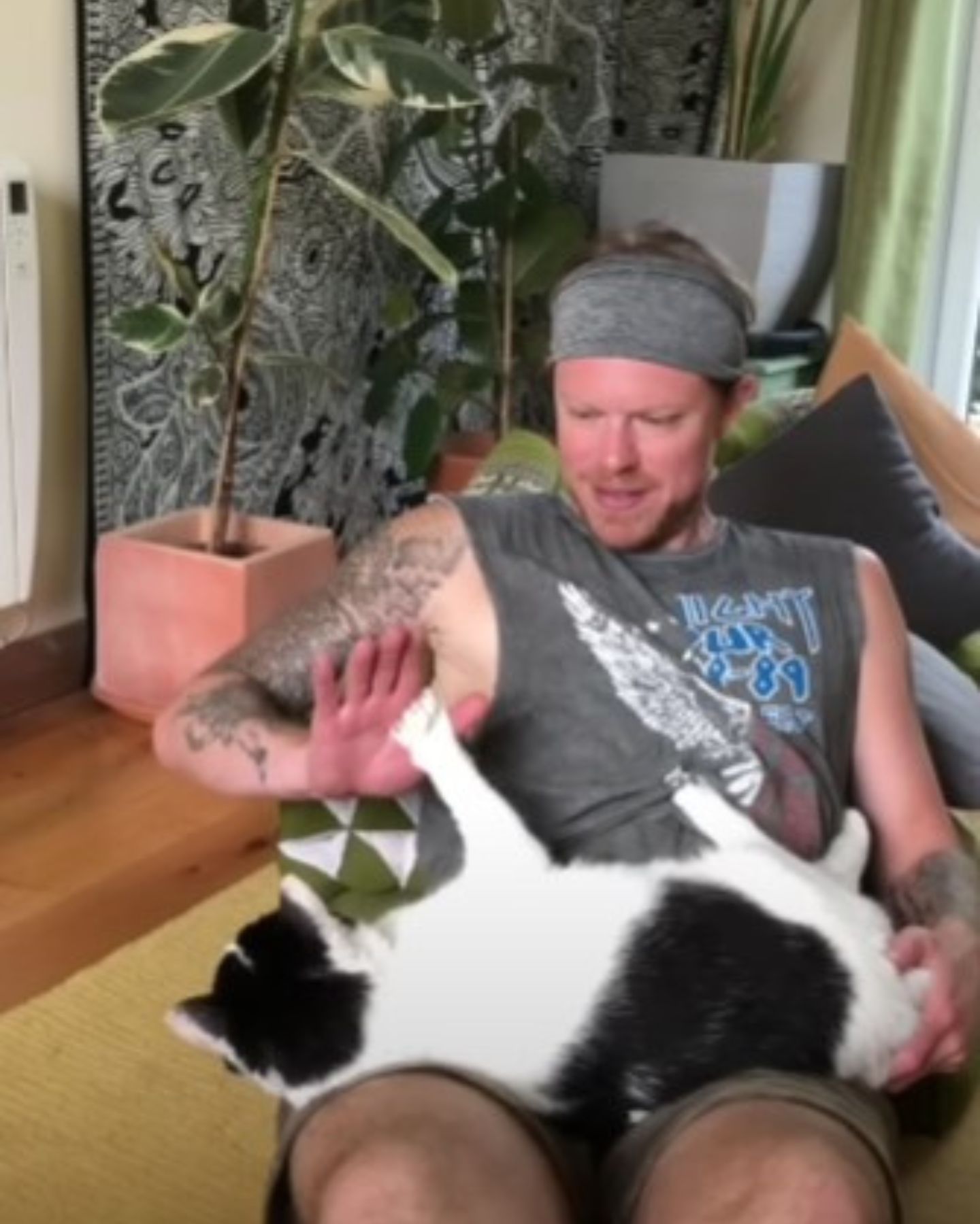 man playing with cat