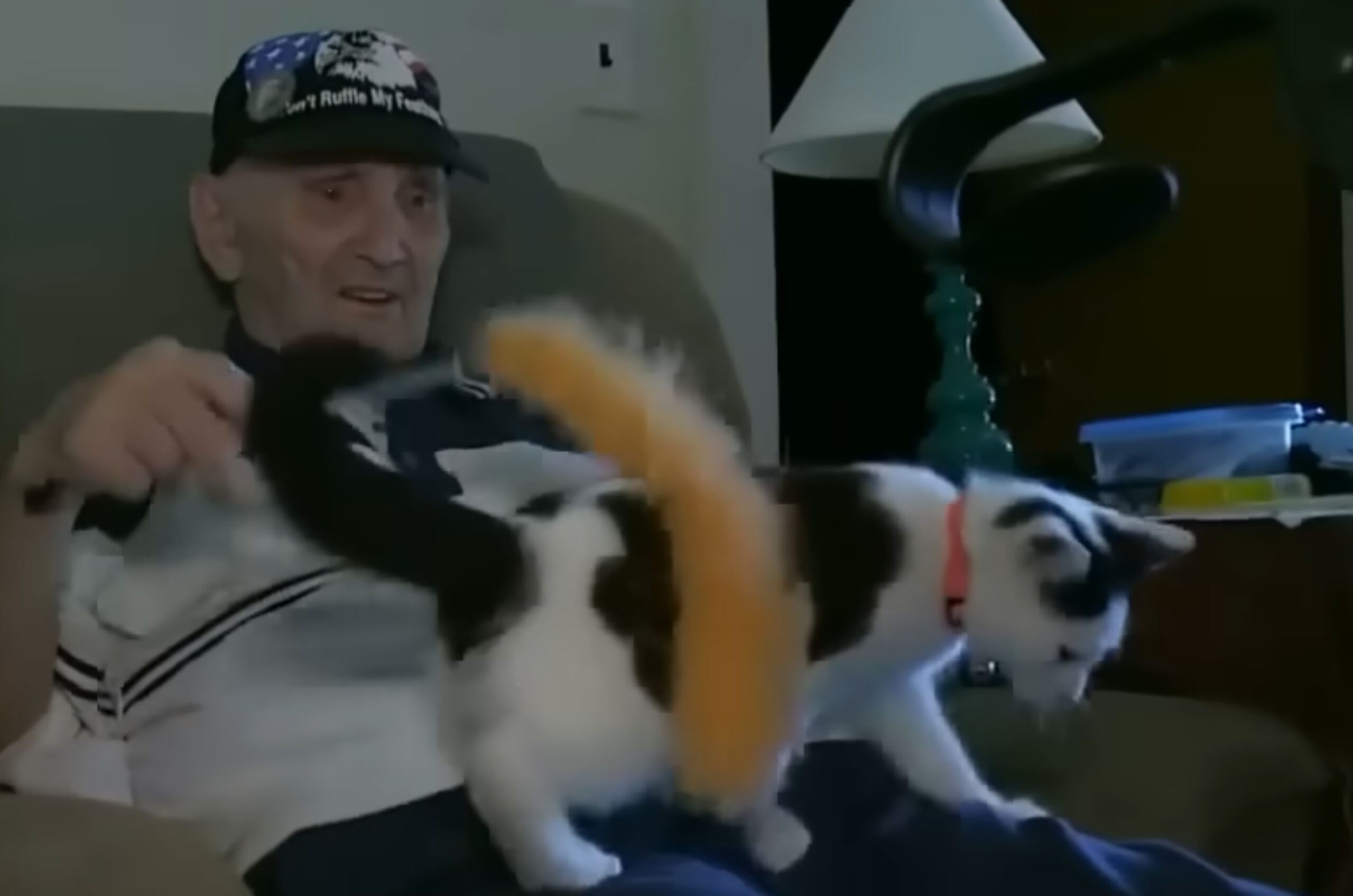 man playing with cat