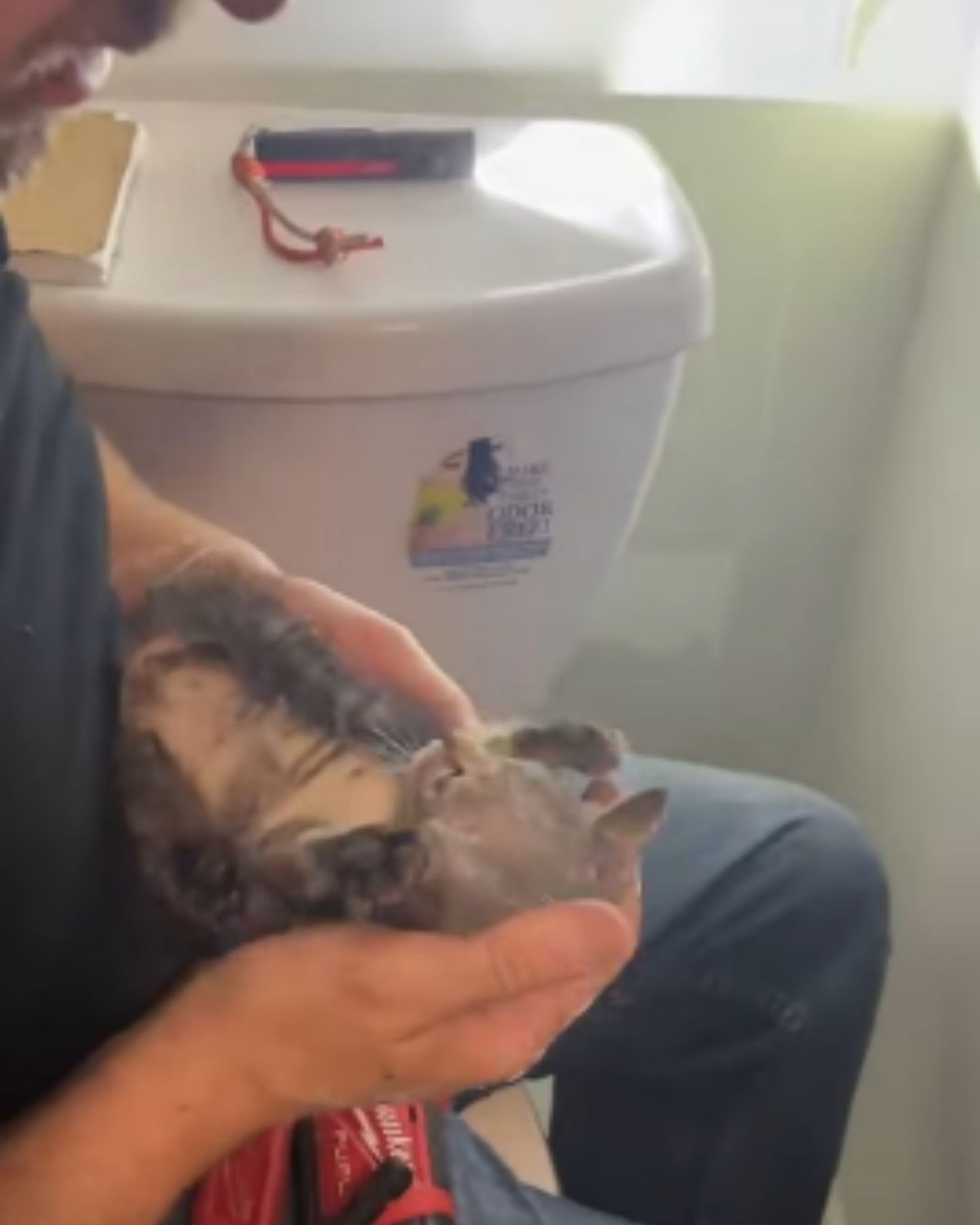 man rescuing a cat from behind a wall