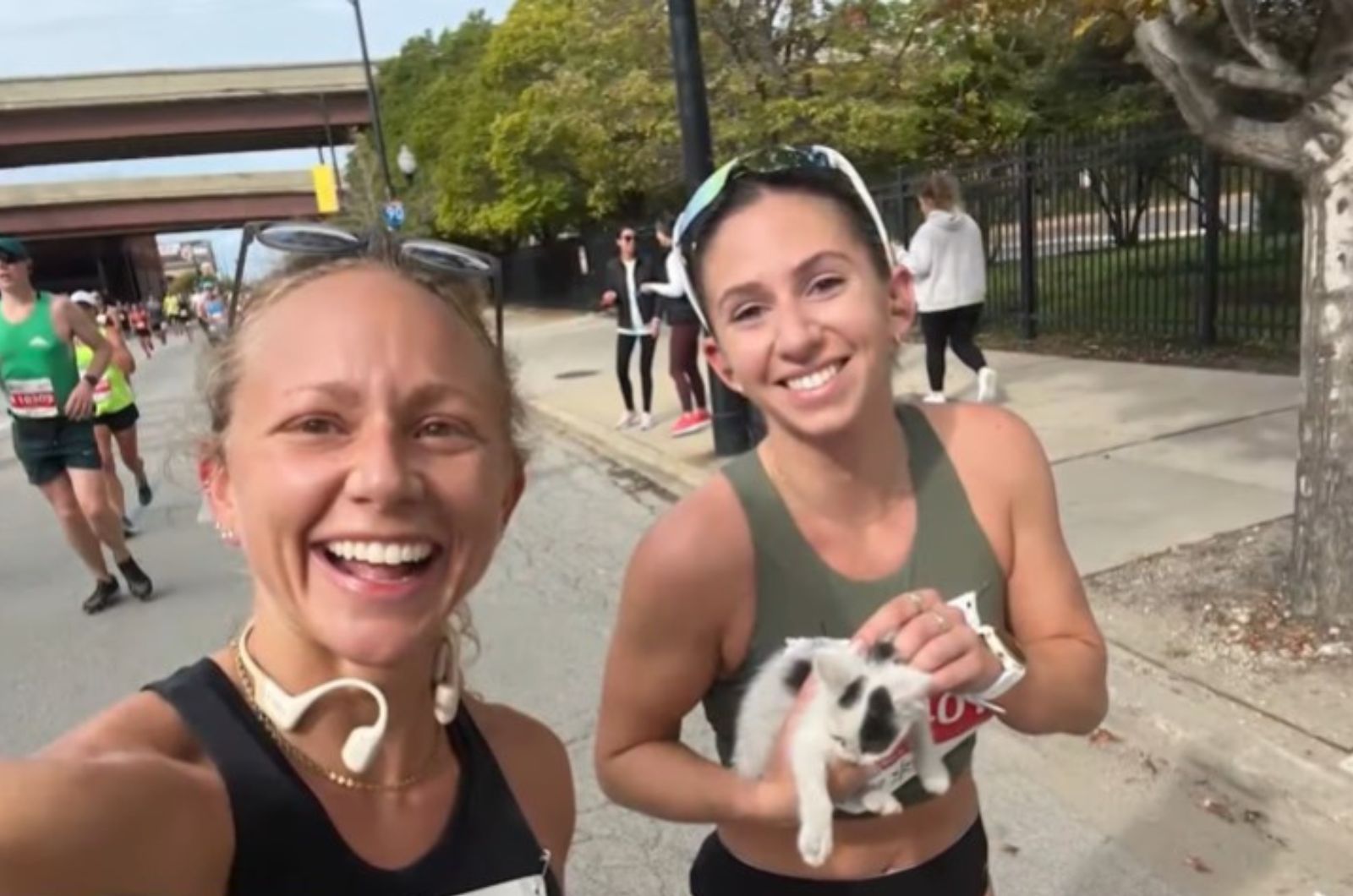 marathon runners save kitten