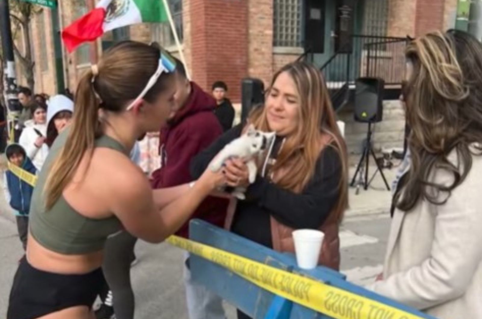 marathon woman gives kitten