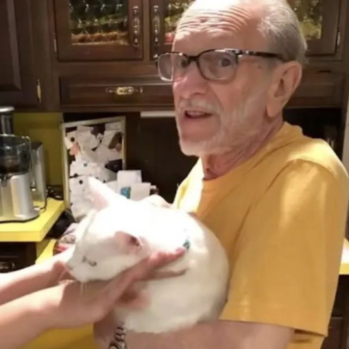old man and white cat in arms