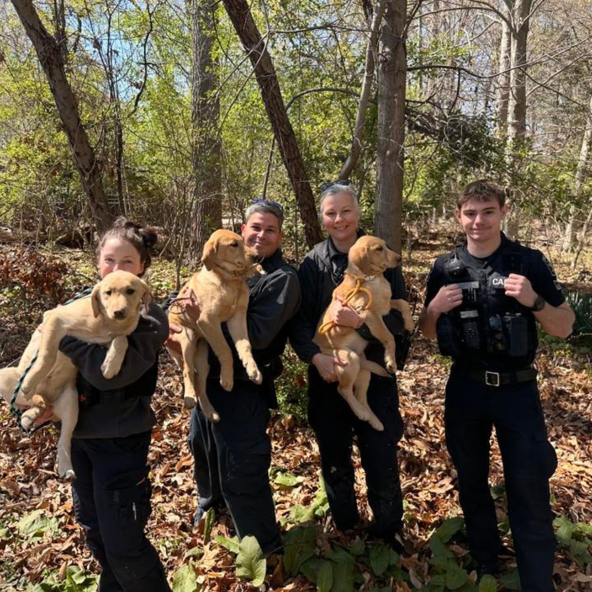 police with lab puppies
