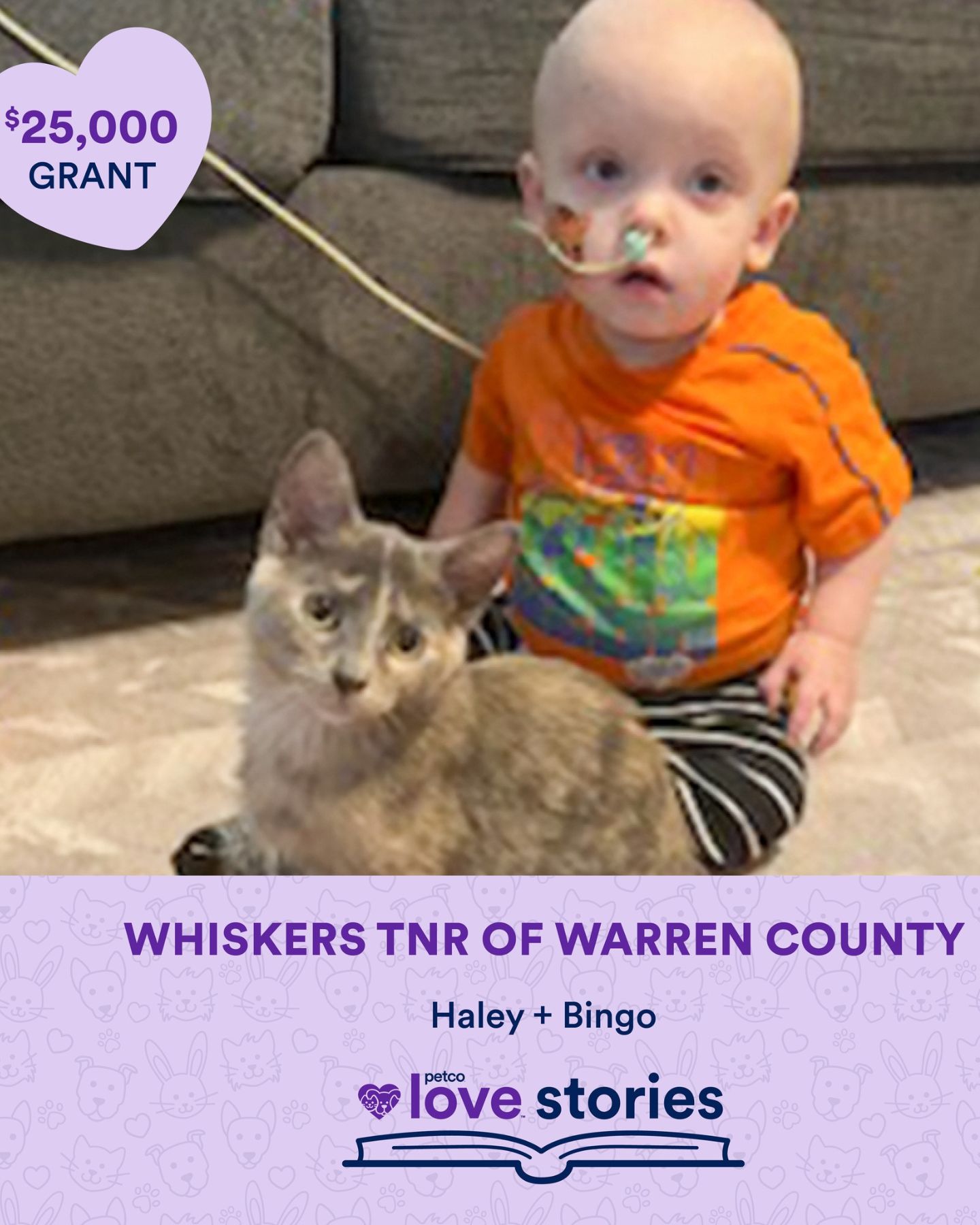 post to donate to a sick boy with a cat