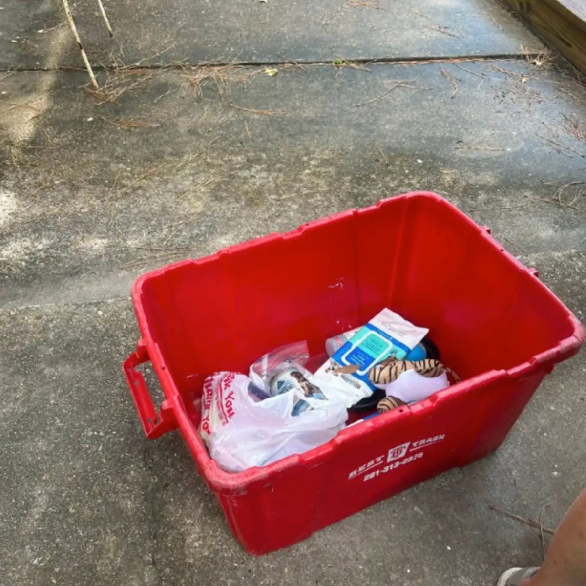 puppy in a plastic box